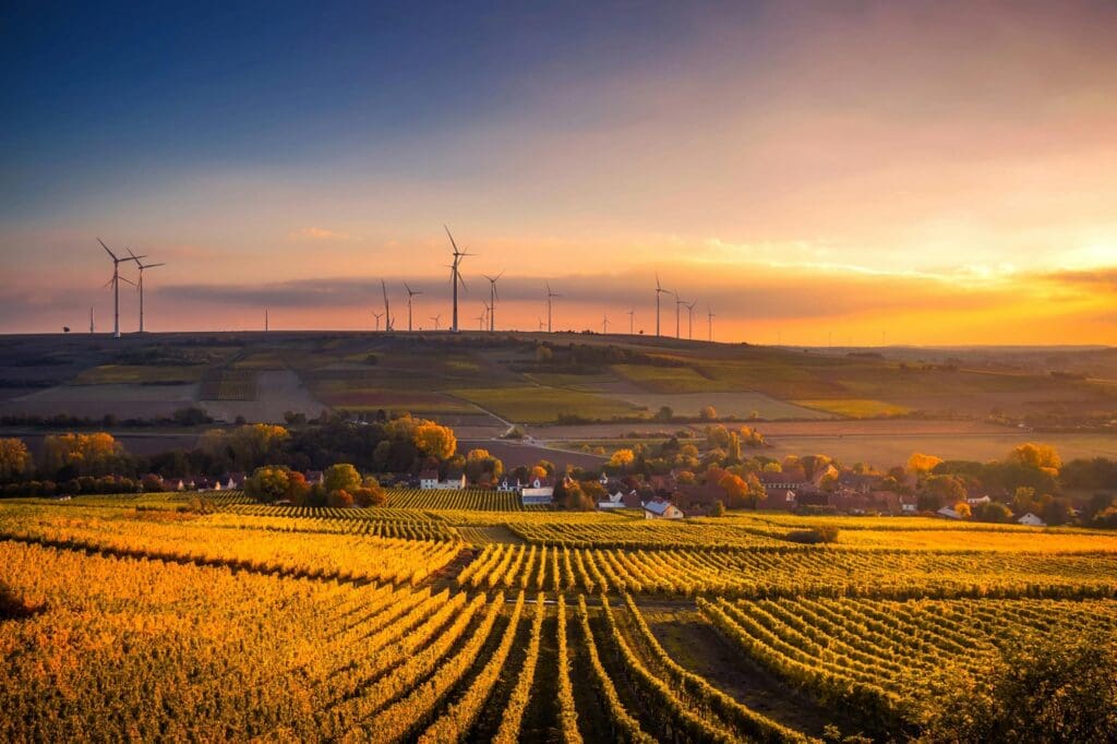 sun setting across fields to reflect golden hour