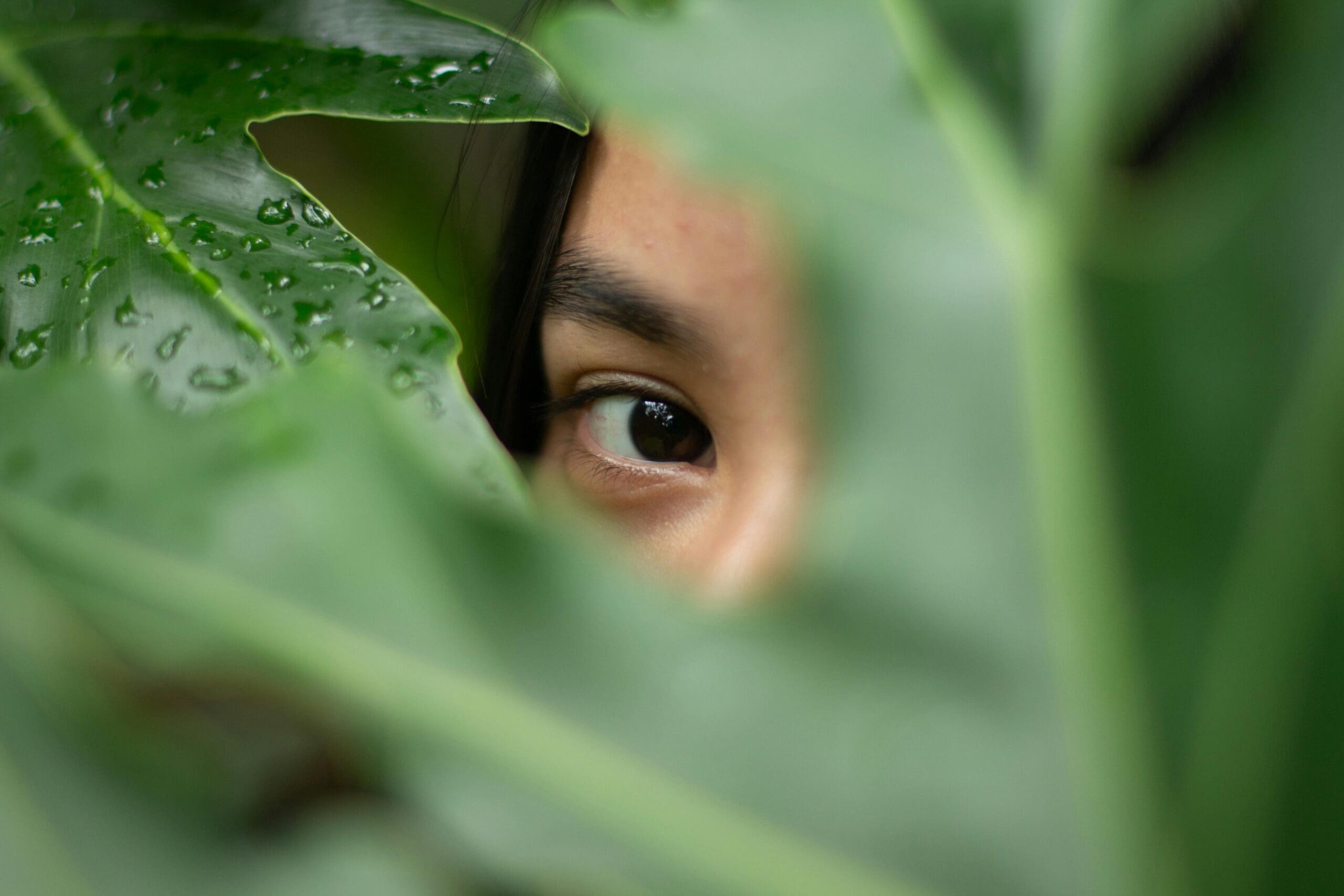 A close-up image of a person's eye peering through a hole in a green leaf. The leaf is prominently in focus, showcasing its vibrant colour and texture, while the eye is slightly obscured by the leaf's edges, creating a mysterious and intriguing effect.