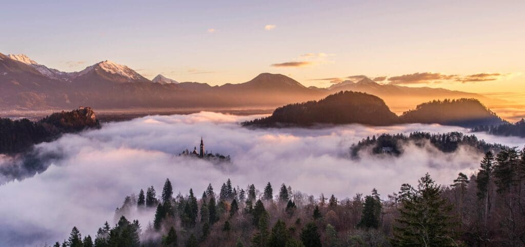 Clouds over a forest