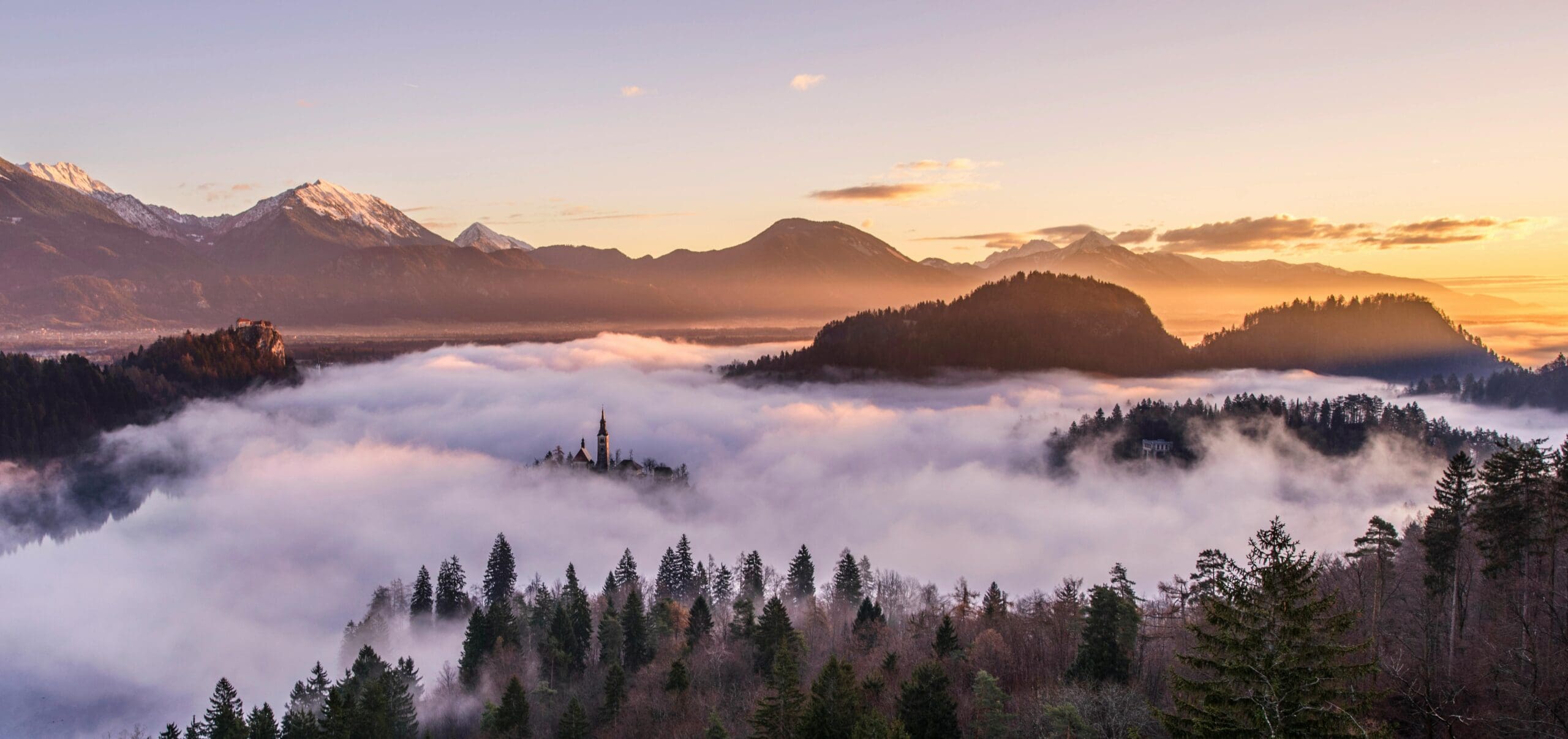 Clouds over a forest