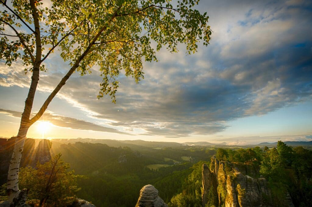 sunset over a mountain with tree in front